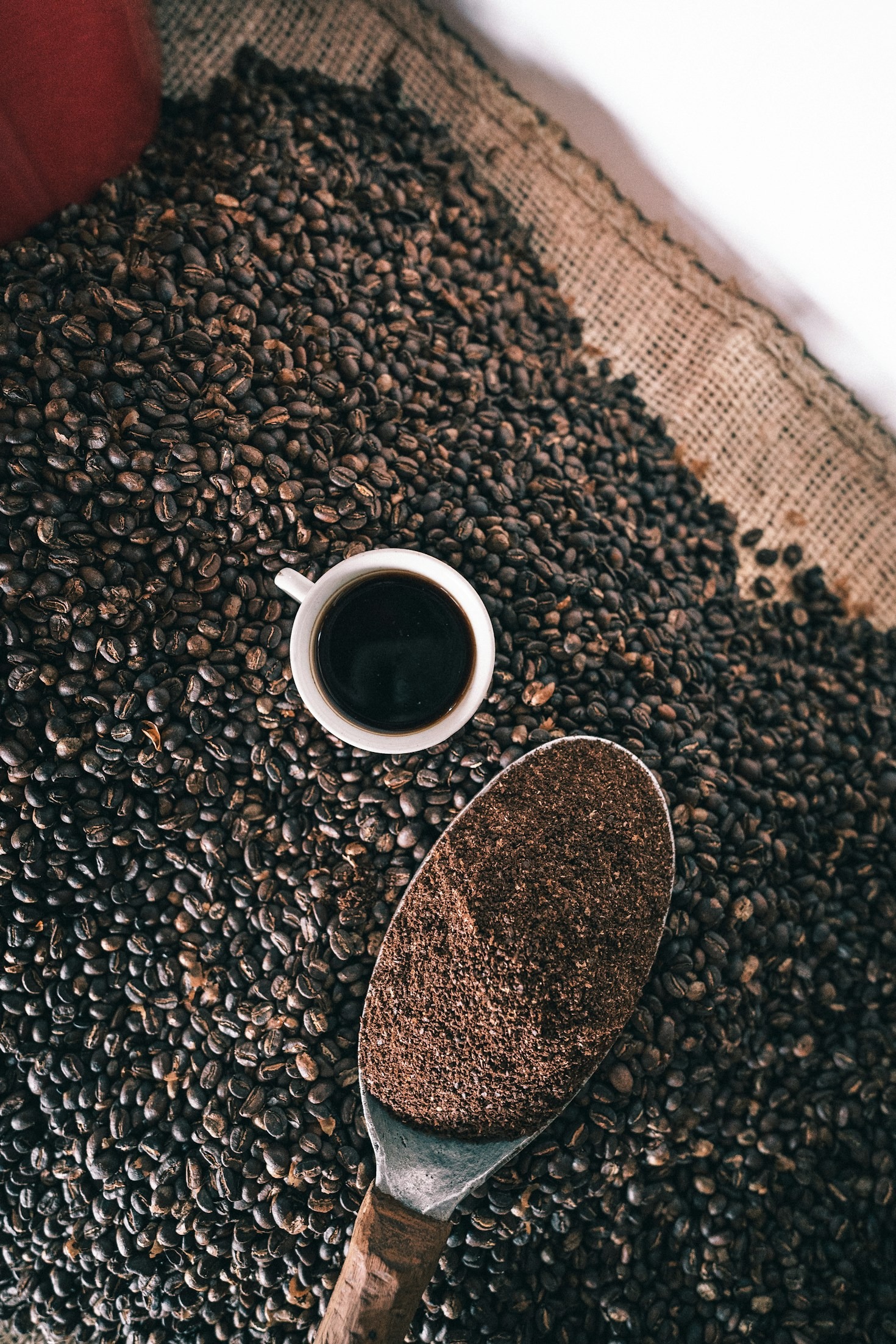 How Zenda Cafe Sources Its Quality Beans