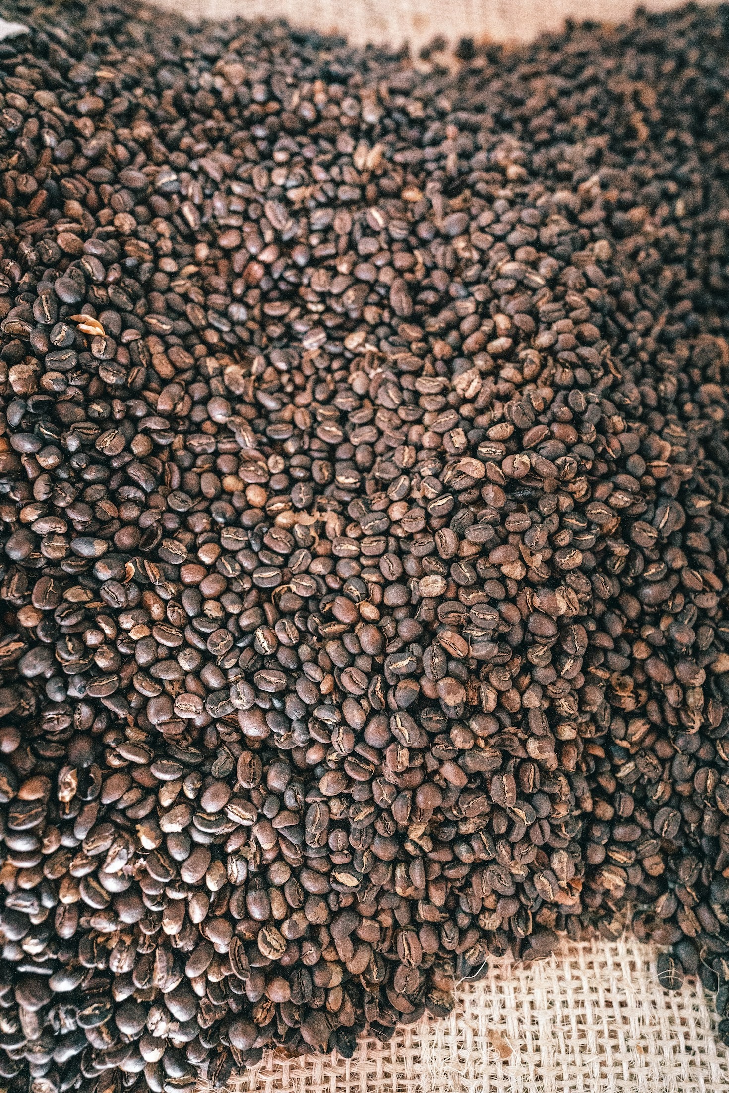 The Art of Brewing Colombian Coffee at Home