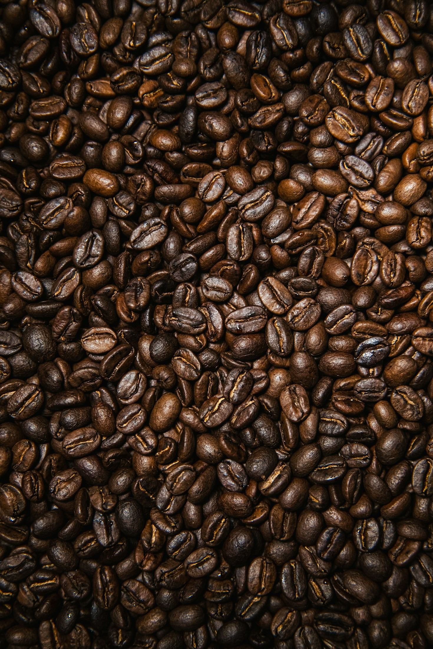 Top Myths About Specialty Coffee Debunked
