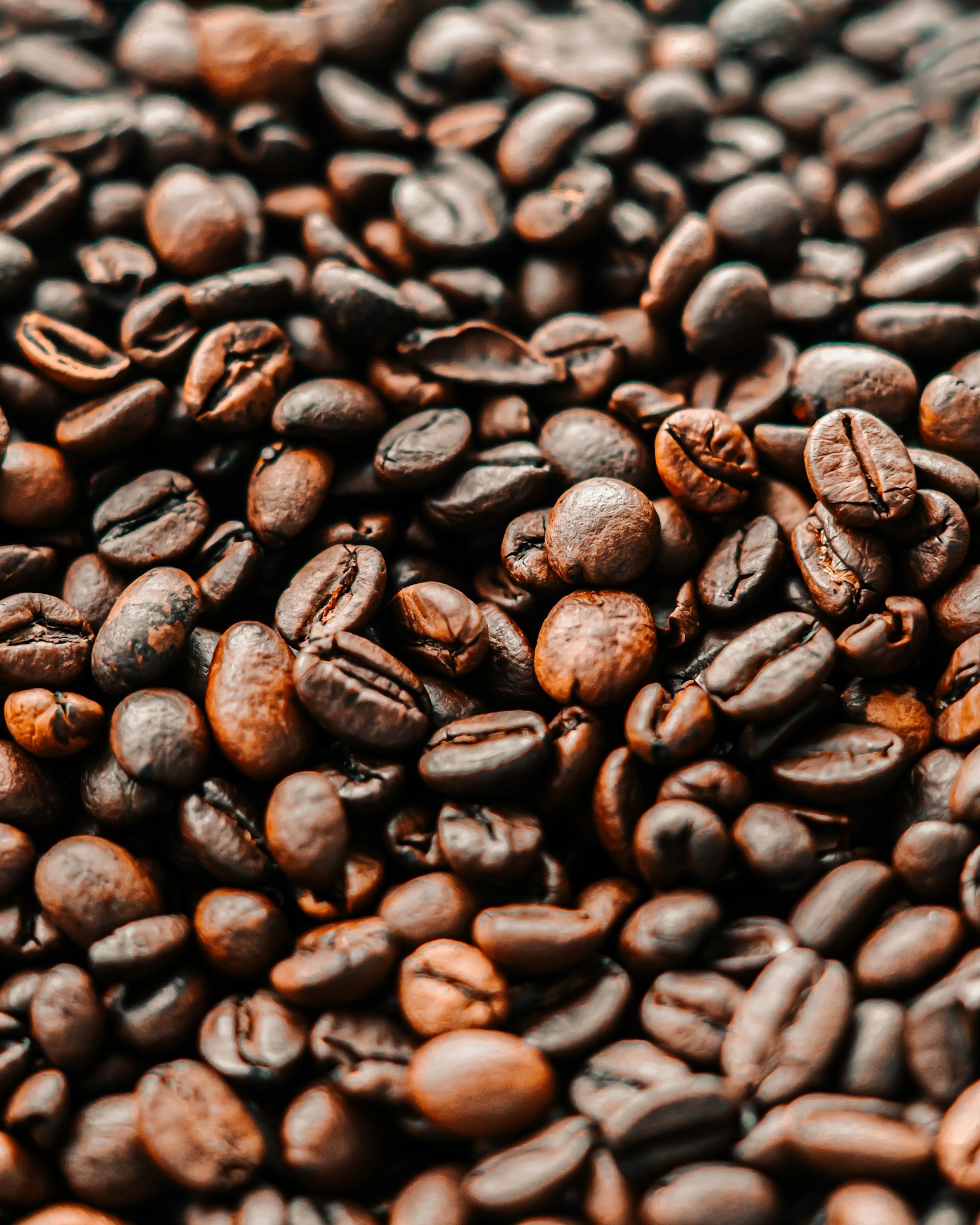 Why Premium Coffee Is Worth the Investment